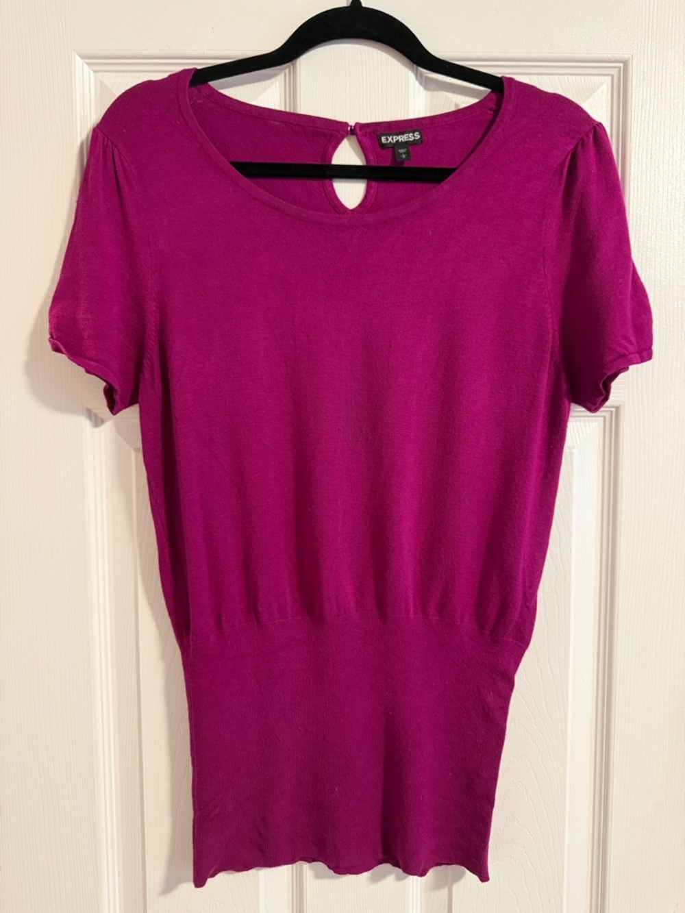 Express Fuchsia Short Sleeve Knit Top